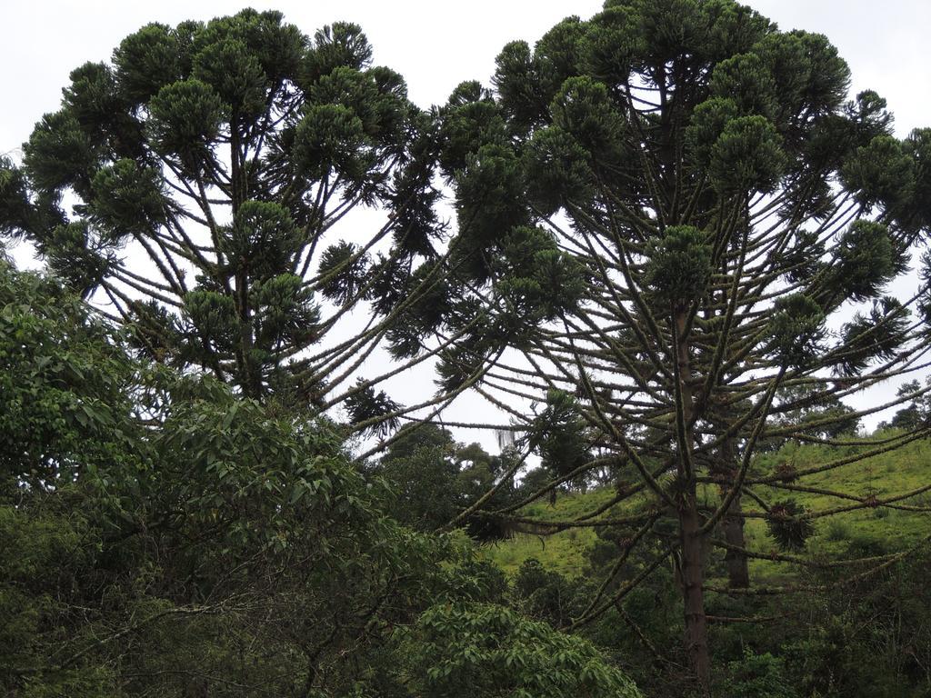 Vila To Na Roca Cunha Exteriér fotografie