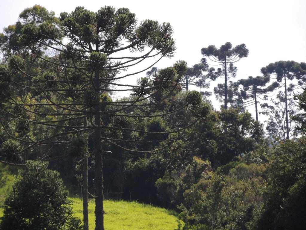 Vila To Na Roca Cunha Exteriér fotografie