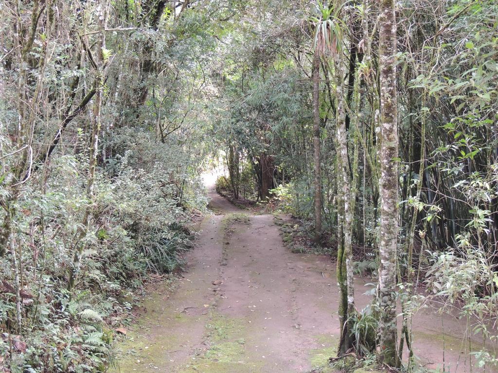 Vila To Na Roca Cunha Exteriér fotografie